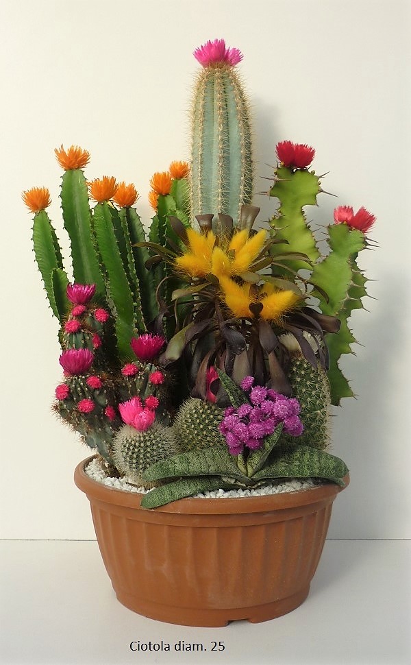 cactacee fleurs artif.