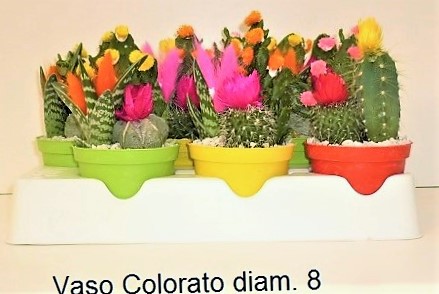 cactacee fleurs artif.