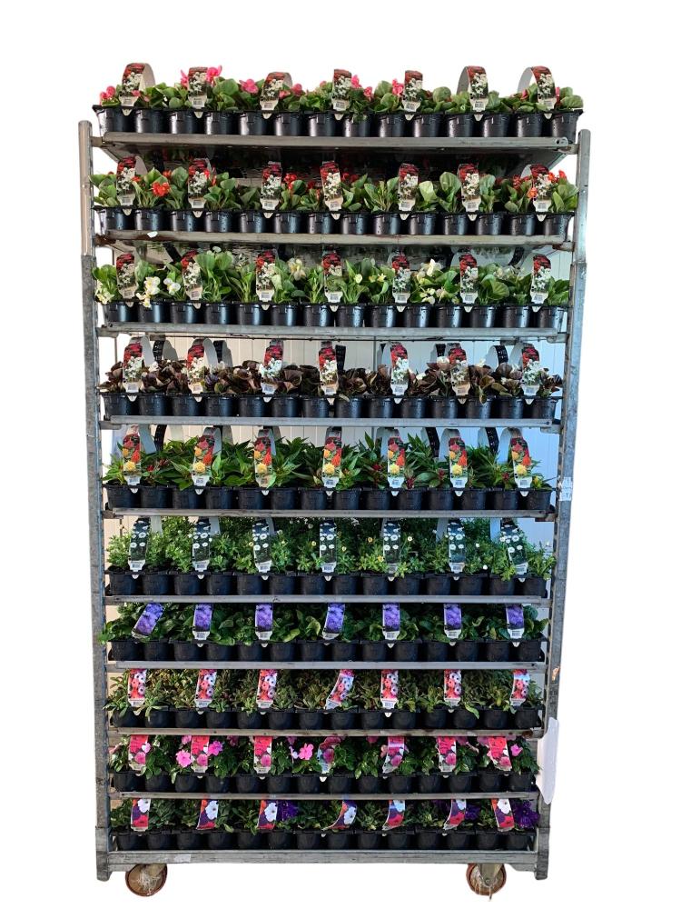 plantes mix