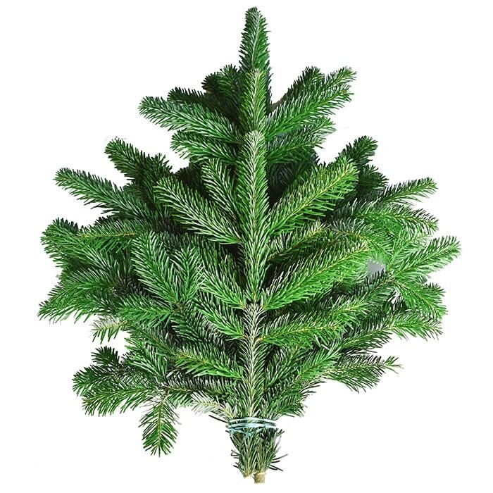 Abies nordmanniana grün 1 kg
