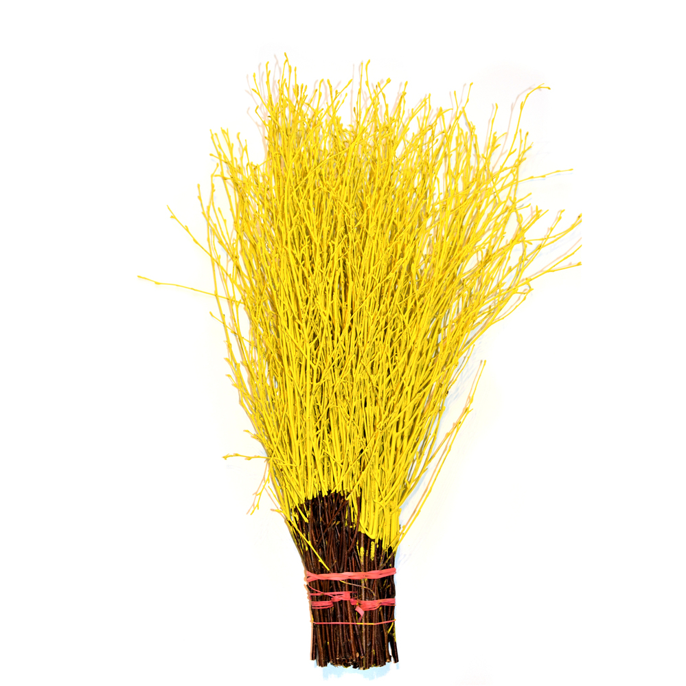 Betula gefärbt gelb