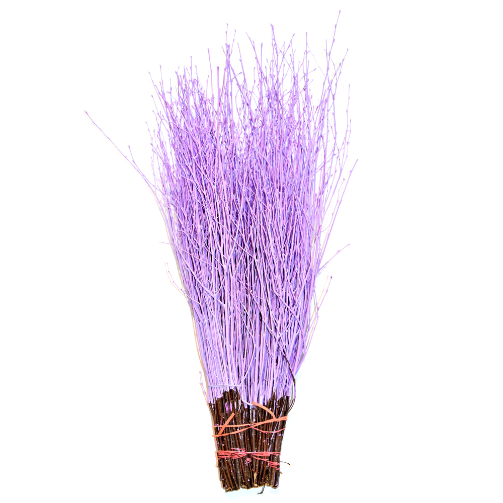 Betula gefärbt flieder