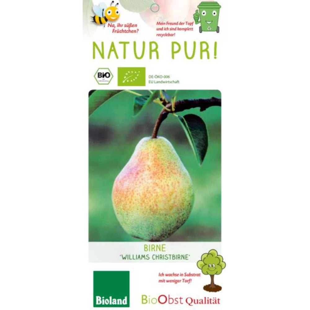 Pyrus