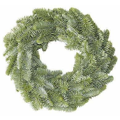 Abies nobilis kranz halb