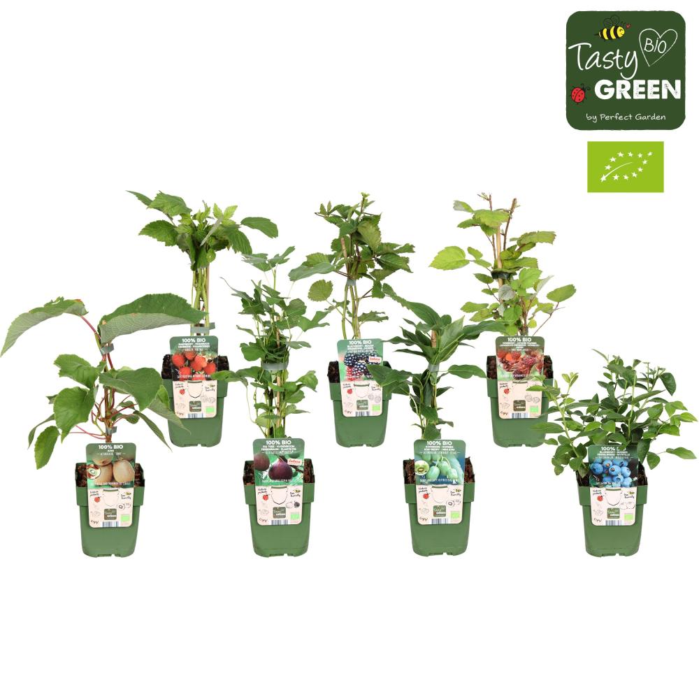 arbres/arbustes fruitiers