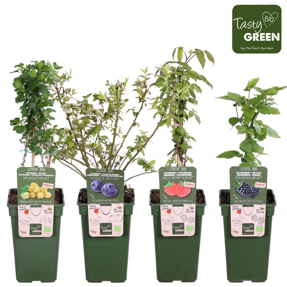 arbres/arbustes fruitiers