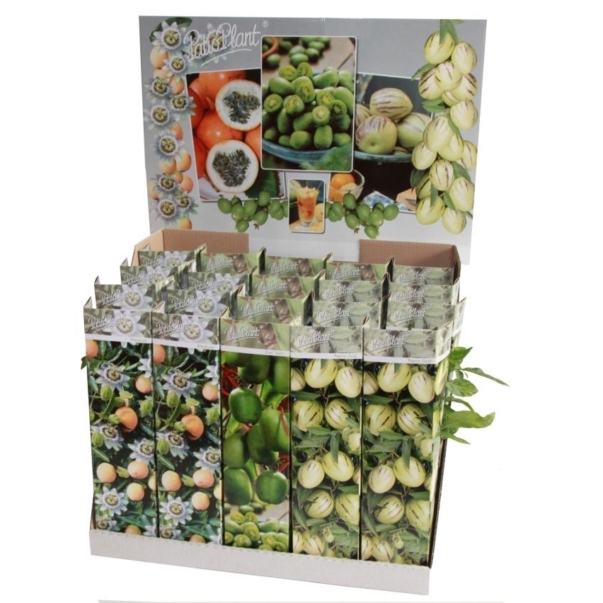 arbres/arbustes fruitiers