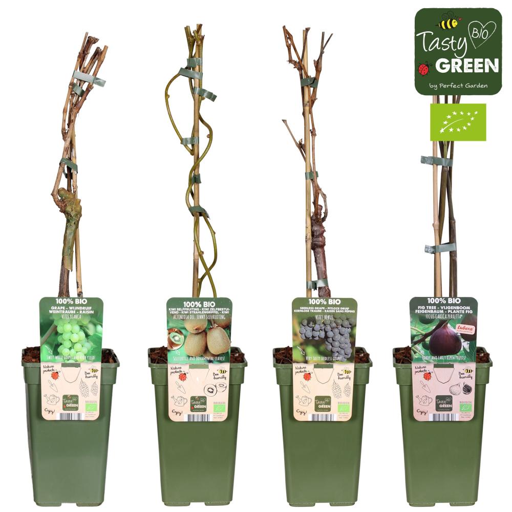 Arbres/arbustes fruitiers