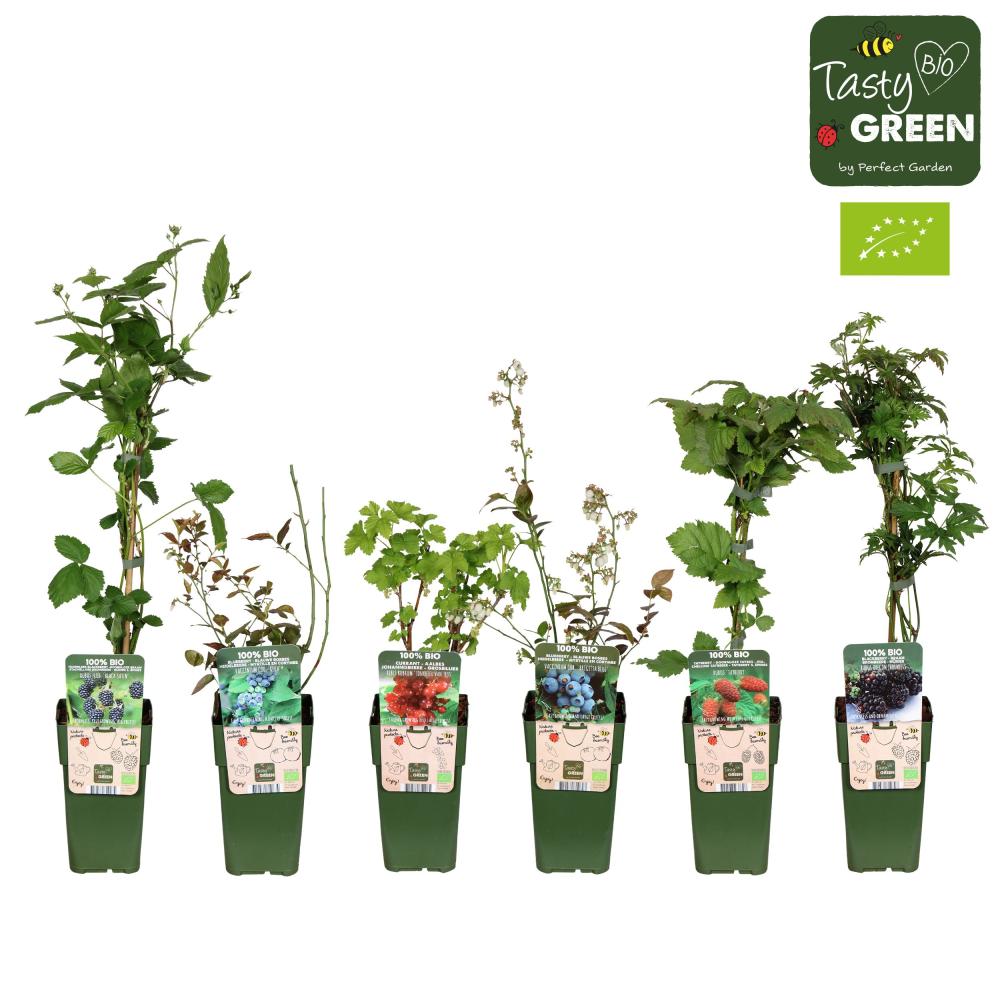 arbres/arbustes fruitiers