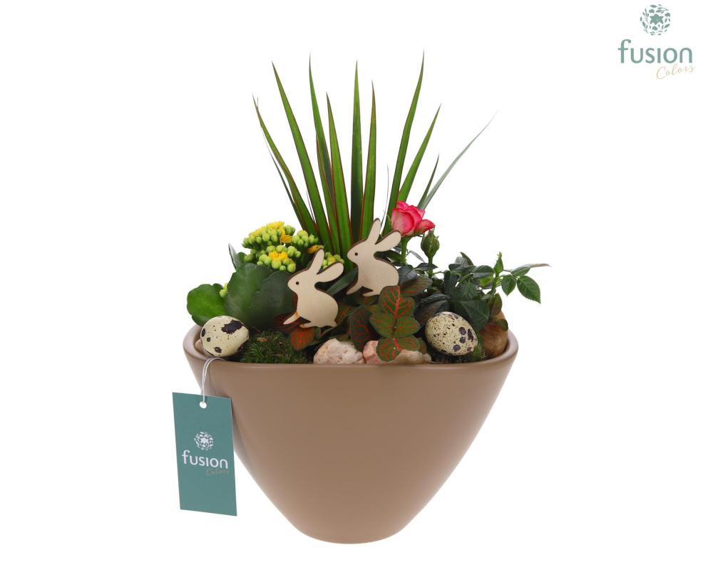 Compo-arrangements Paques