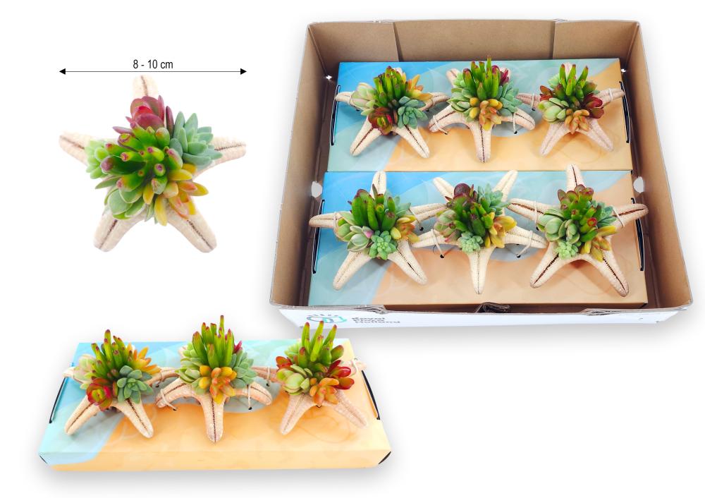 compo-arrangements
