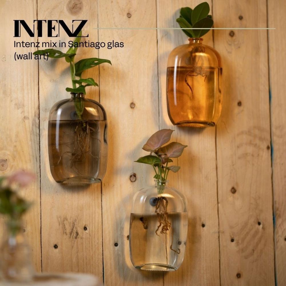 plantes mix