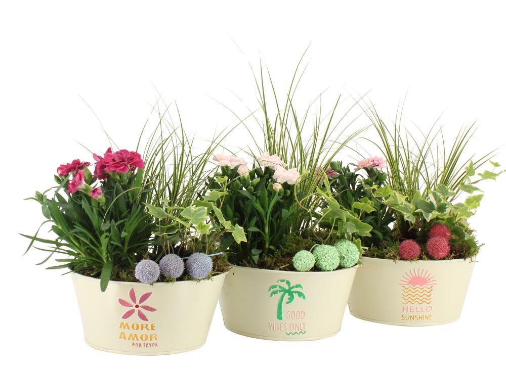 compositions extérieur