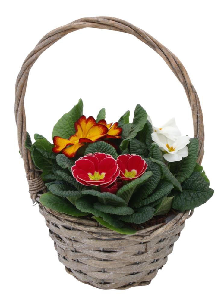 compositions extérieur