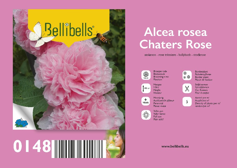 Alcea